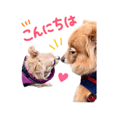 yume_20260516232626