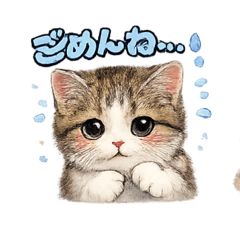 The kitty talks.