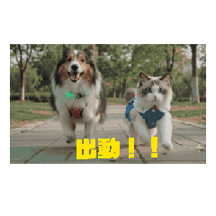 sugi_20260520211934