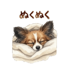 Little one. Papillon - Goodnight edition