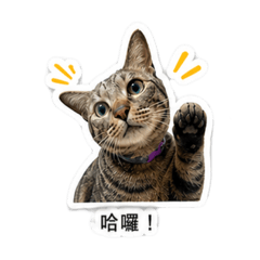 啊嚕咪
