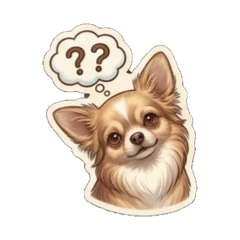 Rai the Chiweenie in cute wordless poses