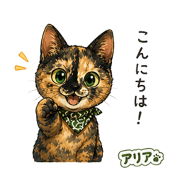 Aria, the tortoiseshell cat