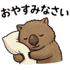 cawaii wombat WON. hello