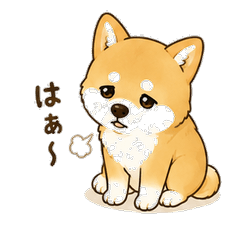 Tired Shiba : Exhausted Daily Stickers