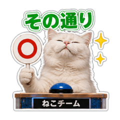 Quiz Show Cats: Buzzer Reactions