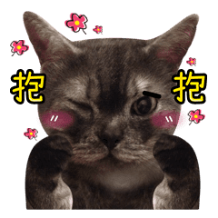 匍匐前進的普普貓 2 Line貼圖 Line Store 匍匐前進的普普貓 2 Line貼圖 Line Store