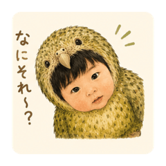 shisa_20260517004834