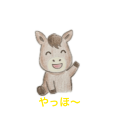 Aki_ruka_20260517005251