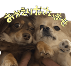 chibi_20260517005301