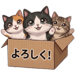 Fluffy Box Cats - Daily Greetings