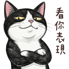 跩跩賓士貓3★看你表現