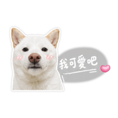 Nui Mimi bb2.0