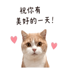 唬王子日常生活第三彈