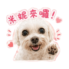 馬爾濟斯-米妮