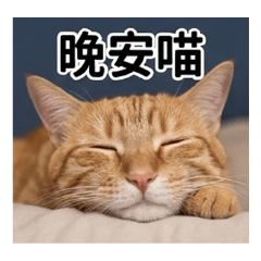 兩隻招財貓