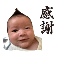 miya_20260517000712