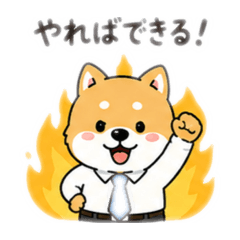 zikoryuu_20260517000621