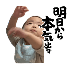 testes_20260517002625