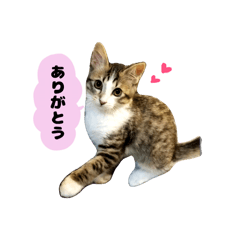 MORIERI_20260517002620