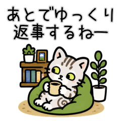 American Shorthair Long Replies