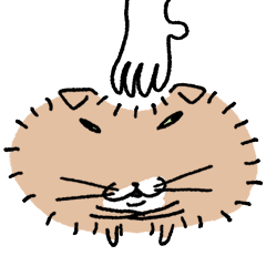Dandelion the Fluffy Cat