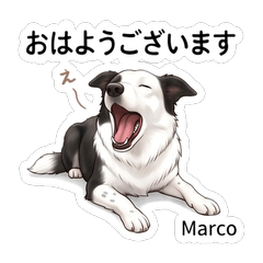 Marco Fun Daily Stickers Vol01