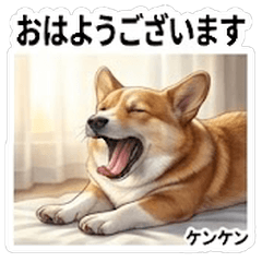 Kenken Fun Daily Stickers Vol01