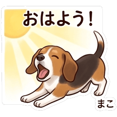 Mako Cute Daily Stickers Vol01