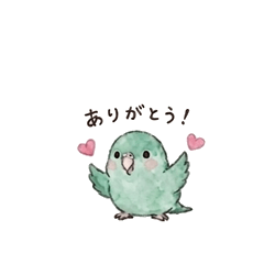 Yuru Naka Zoo Parakeet Feelings