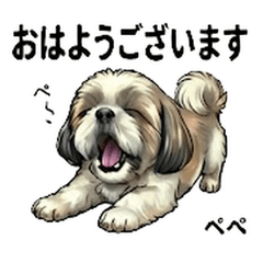 Pepe Cute Daily Stickers Vol01