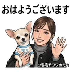 Moka Long Hair Chihuahua Vol01