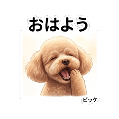 Pikke Cute Pet Stickers Vol01