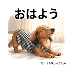 Chi and Shu Cute Duo Vol01