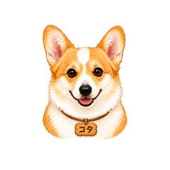 Kota the Corgi Daily Stickers1