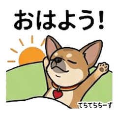 Cheese Cute Fun Stickers Vol01
