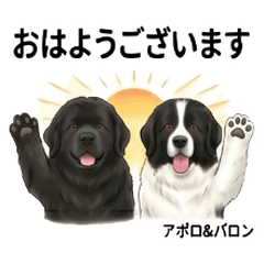 Apollo and Baron Fun Stickers Vol01