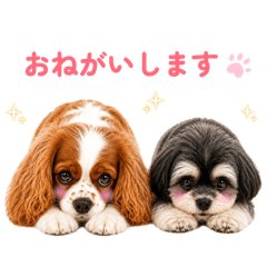 Mei_20260516234511