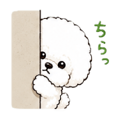 NON_20260521001625