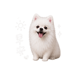 豆豆 ੯•́໒꒱