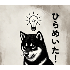 HIROSE_20260517012743
