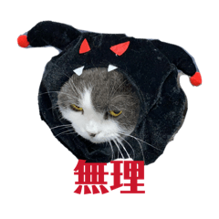 kuni4