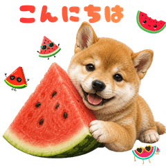 Cute Summer Mameshiba Stickers