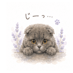 Cyan's Lavender Stickers Scottish Fold