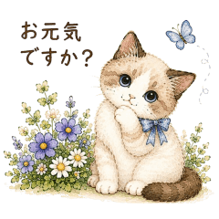 mieshima_20260520211745