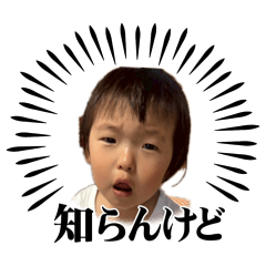 yy_20260517061433