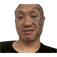 hoganeshi