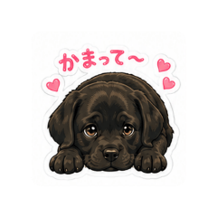 Mi-ko_20260517070527
