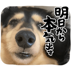 KAZUHIKO_20260517072506