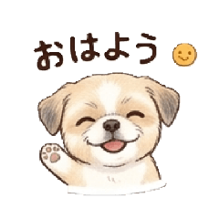 Shih Tzu Moko